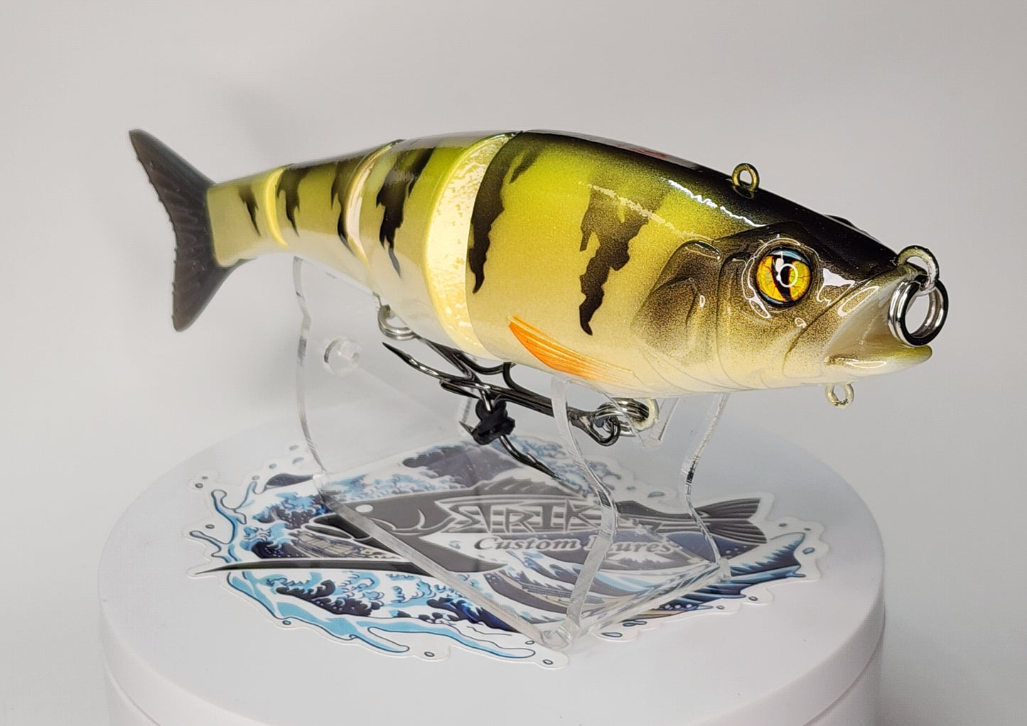 Gantia KO (Yellow Perch)