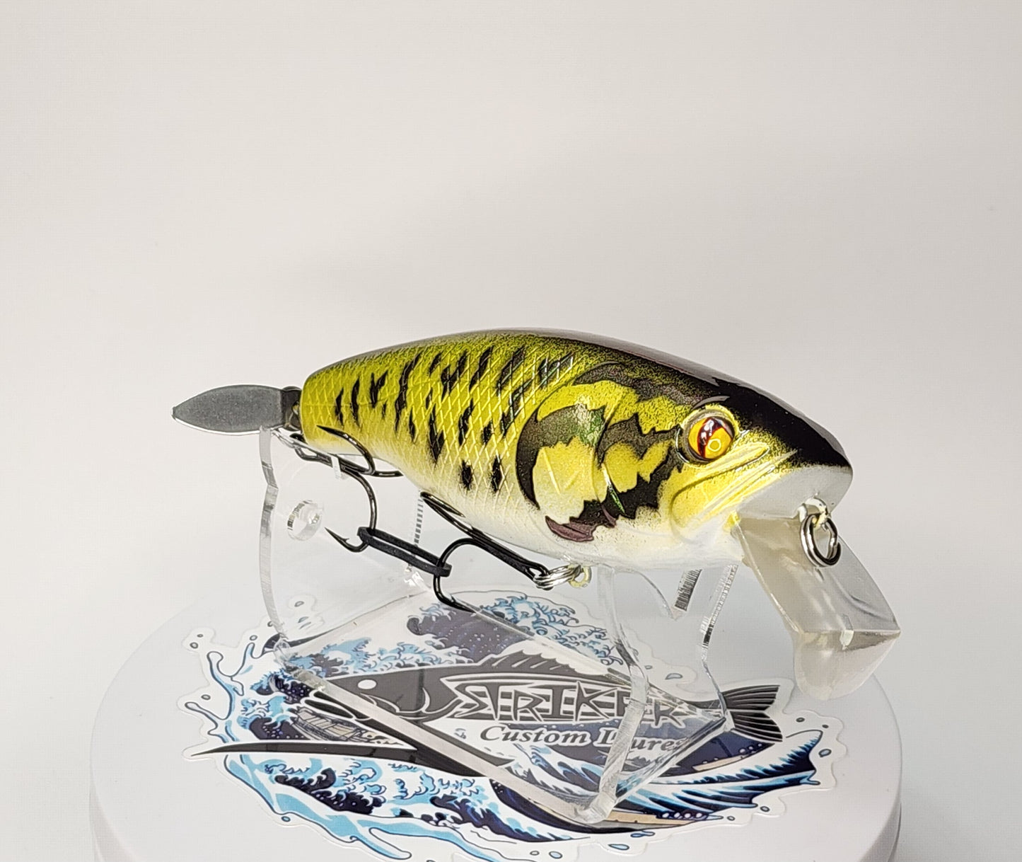 Buzzjet KO (Golden Smallie)