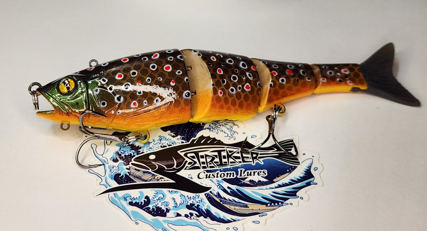 Gantia KO (Brown Trout)