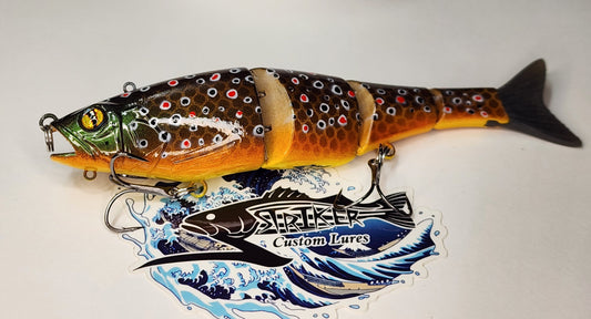 Gantia KO (Brown Trout)