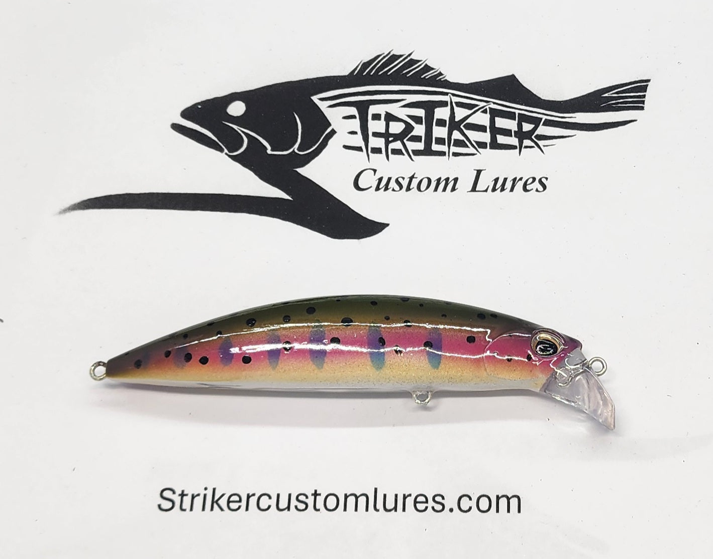 Bullet Minnow