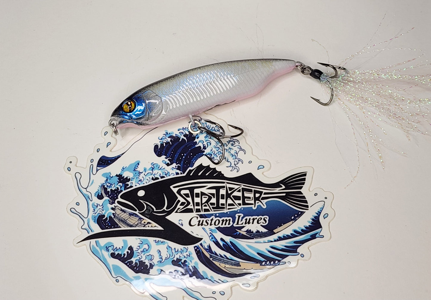 Karashi 80 Ko (Morning Glory)