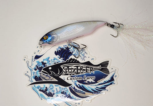 Karashi 80 KO (Morning Glory)