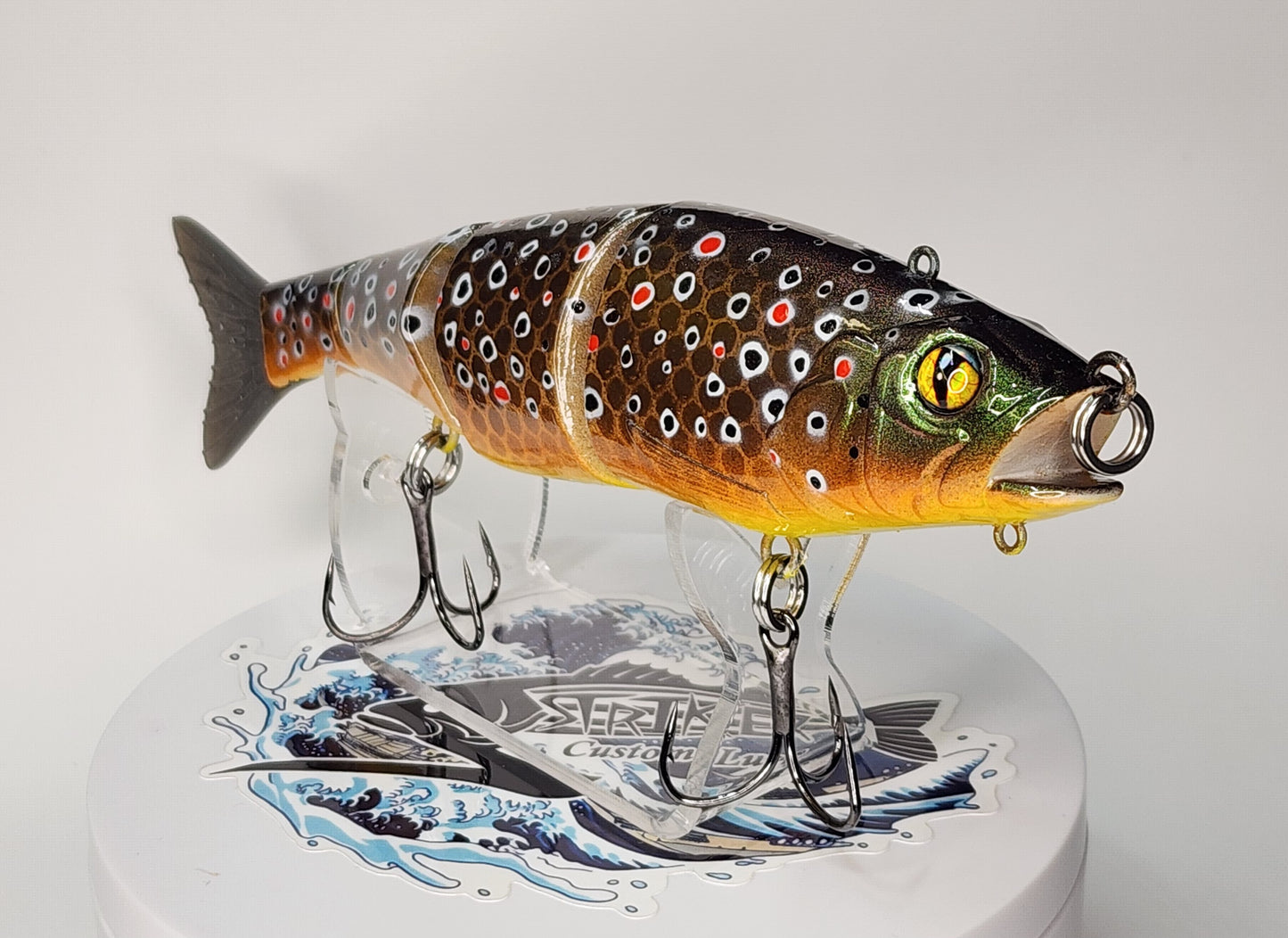 Gantia KO (Brown Trout)