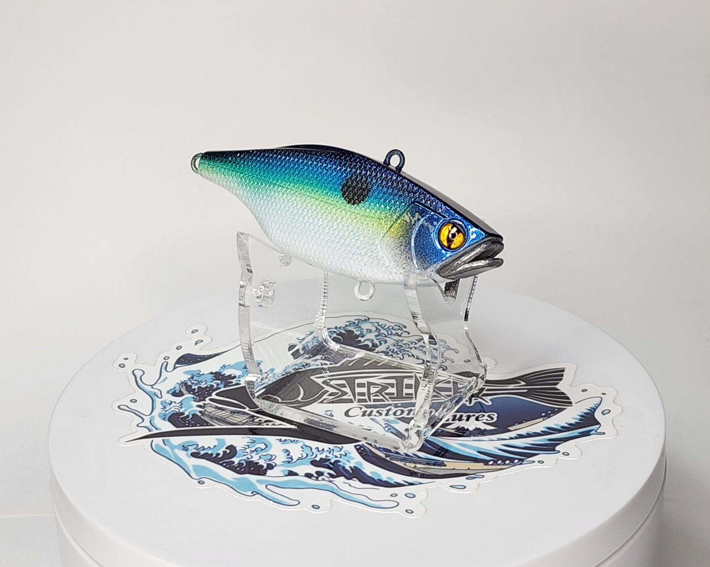 TN60 KO (Sexy Shad)