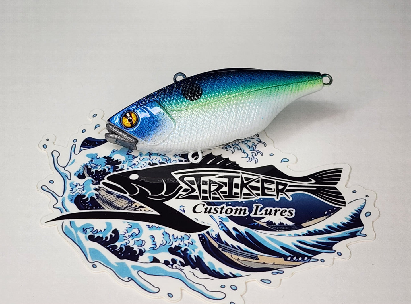 TN60 KO (Sexy Shad)